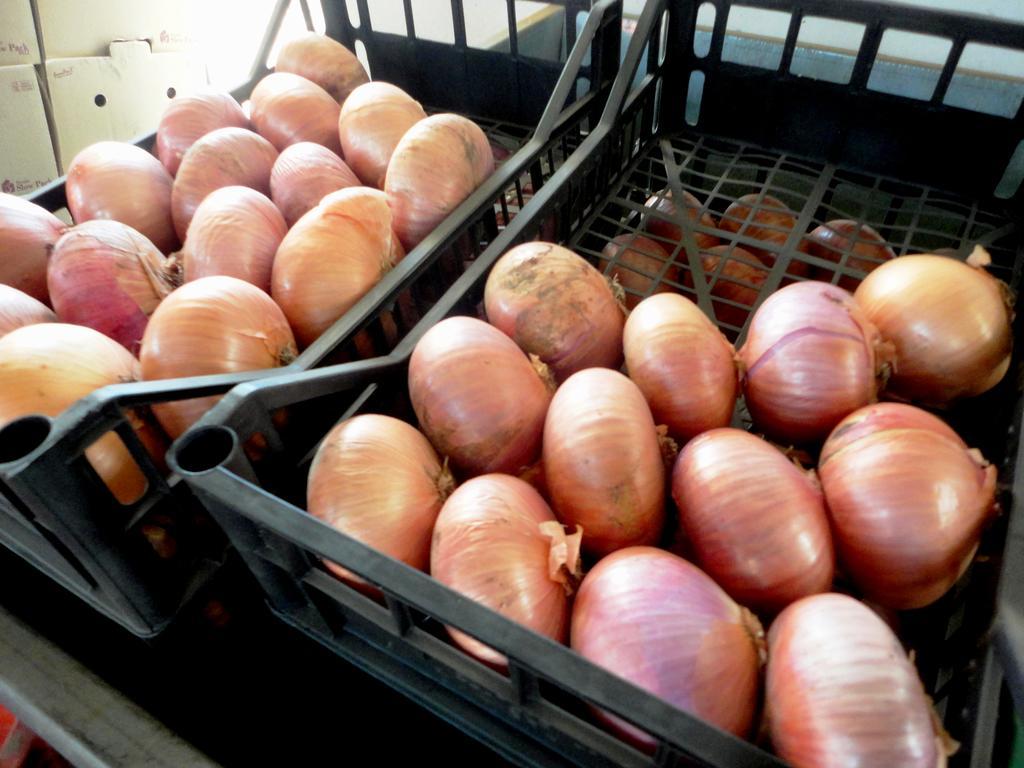 Tenuta Montelaura Forino Bagian luar foto