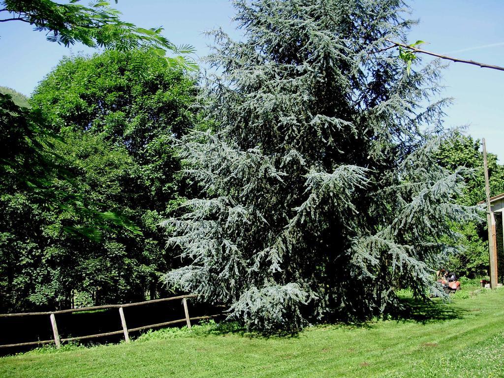 Tenuta Montelaura Forino Bagian luar foto