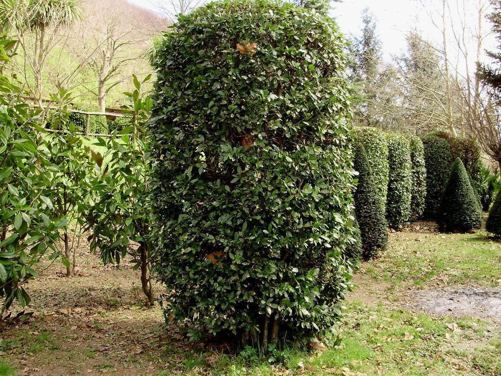 Tenuta Montelaura Forino Bagian luar foto