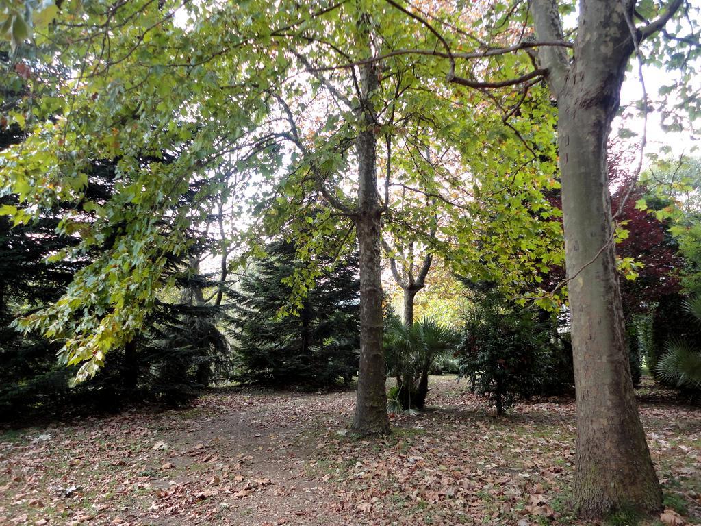 Tenuta Montelaura Forino Bagian luar foto