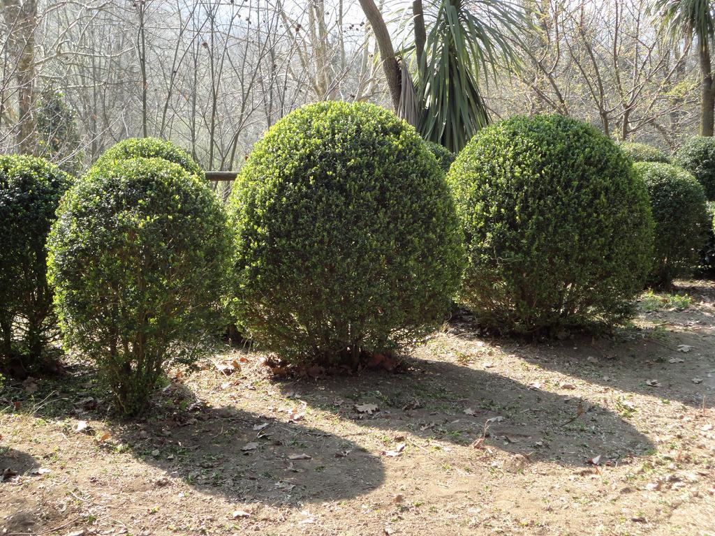 Tenuta Montelaura Forino Bagian luar foto