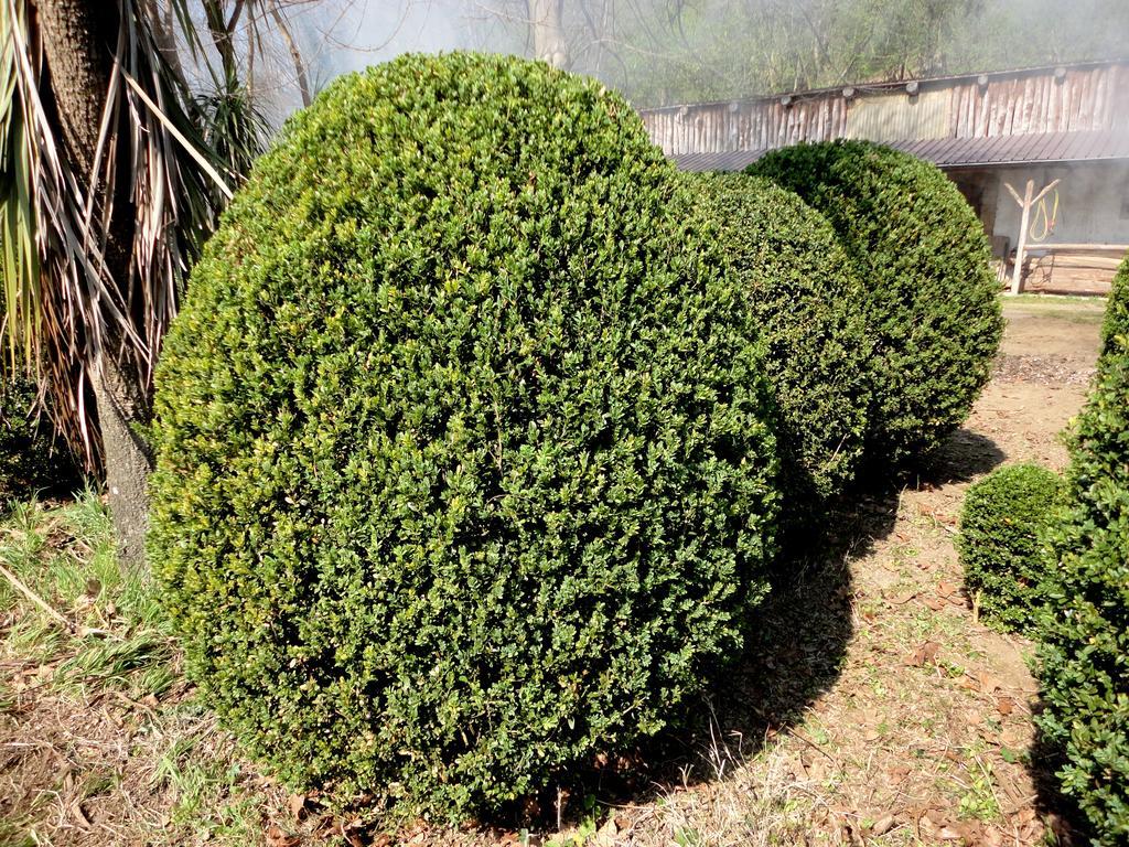 Tenuta Montelaura Forino Bagian luar foto