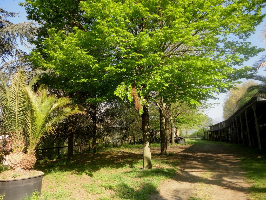 Tenuta Montelaura Forino Bagian luar foto